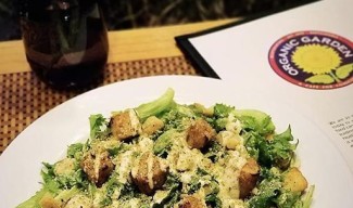 restaurant pic